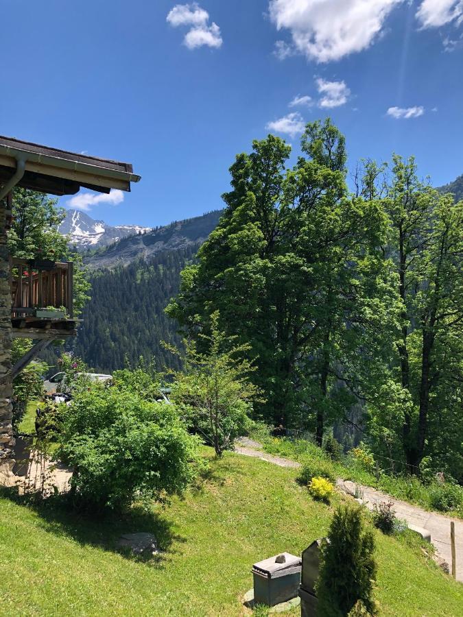 Bed and Breakfast Le Pika Hauteluce Esterno foto