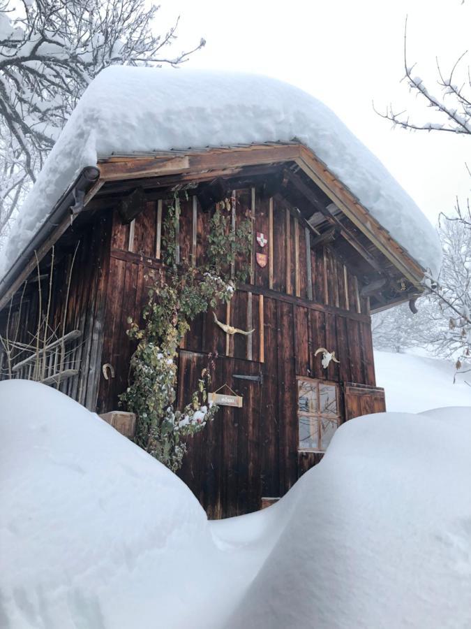 Bed and Breakfast Le Pika Hauteluce Esterno foto