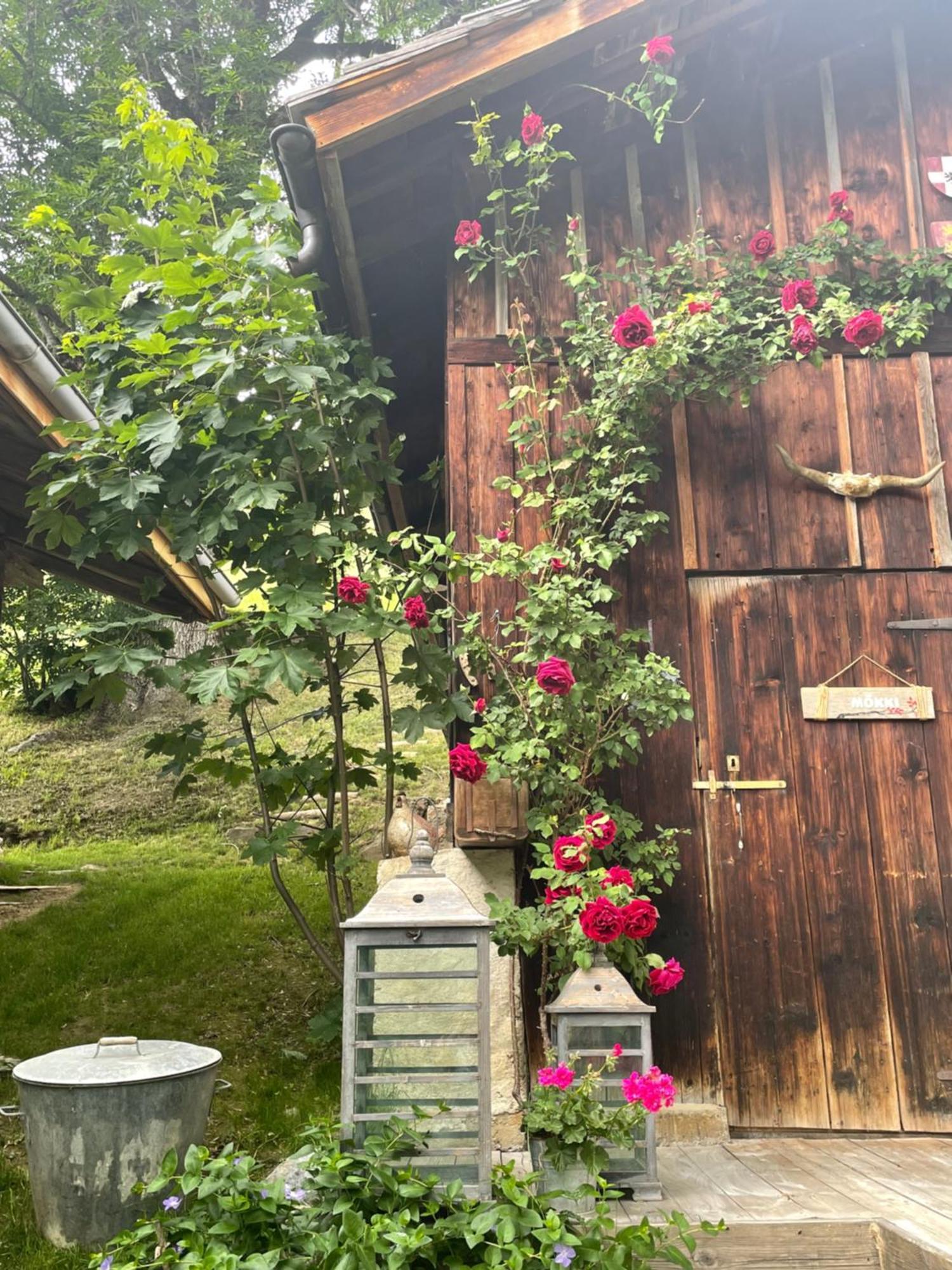 Bed and Breakfast Le Pika Hauteluce Esterno foto